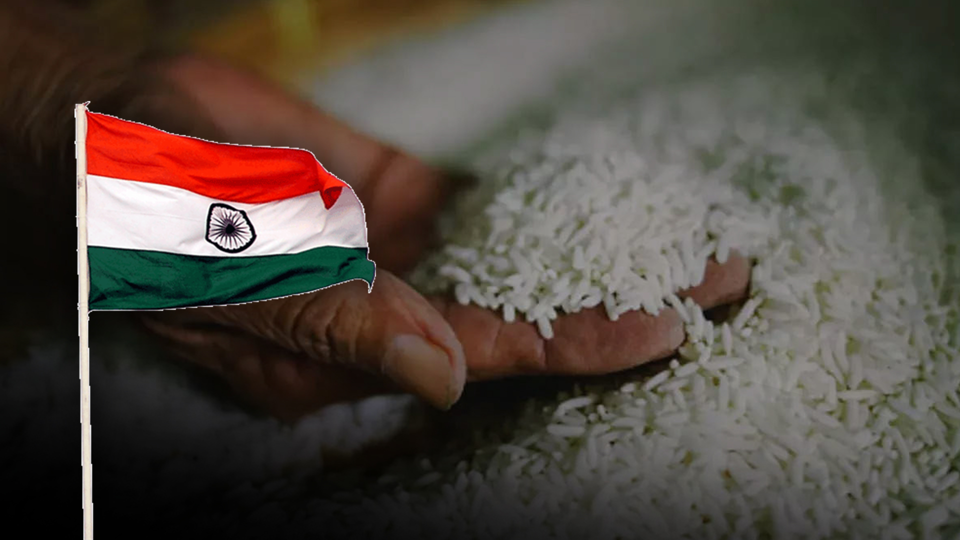 indian rice copy